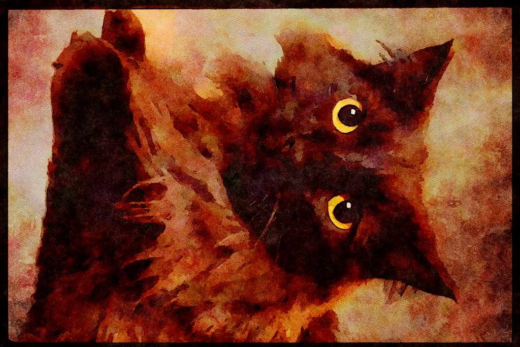 Cats Kittens 336030 Starr A4 Limited Edition Watercolour Print