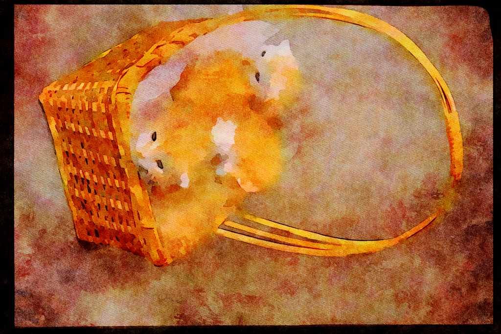 Cats Kittens 336034 Fuzz Balls A4 Limited Edition Watercolour Print