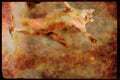 Cats Kittens 336037 Got The Friskies A4 Limited Edition Watercolour Print
