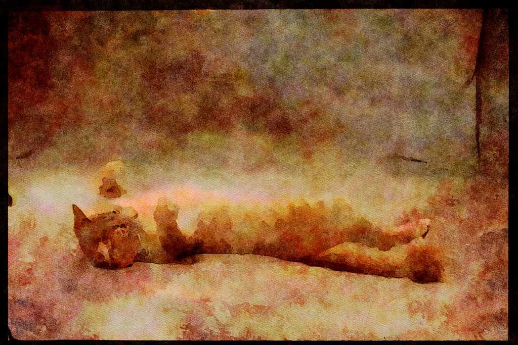 Cats Kittens 336038 Catnip A4 Limited Edition Watercolour Print