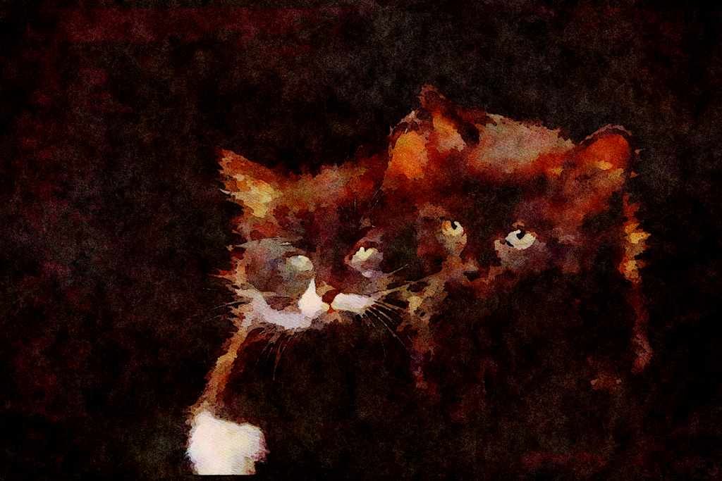 Cats Kittens 336041 Buddies A4 Limited Edition Watercolour Print