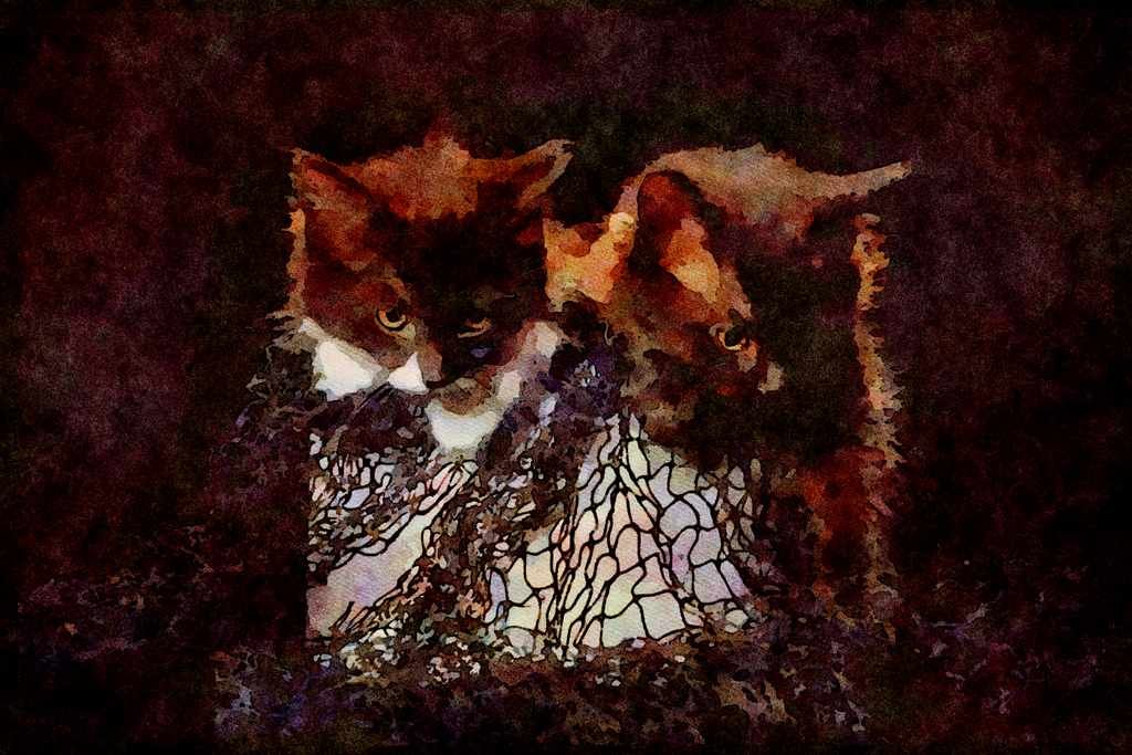 Cats Kittens 336042 Cathouse Blues A4 Limited Edition Watercolour Print