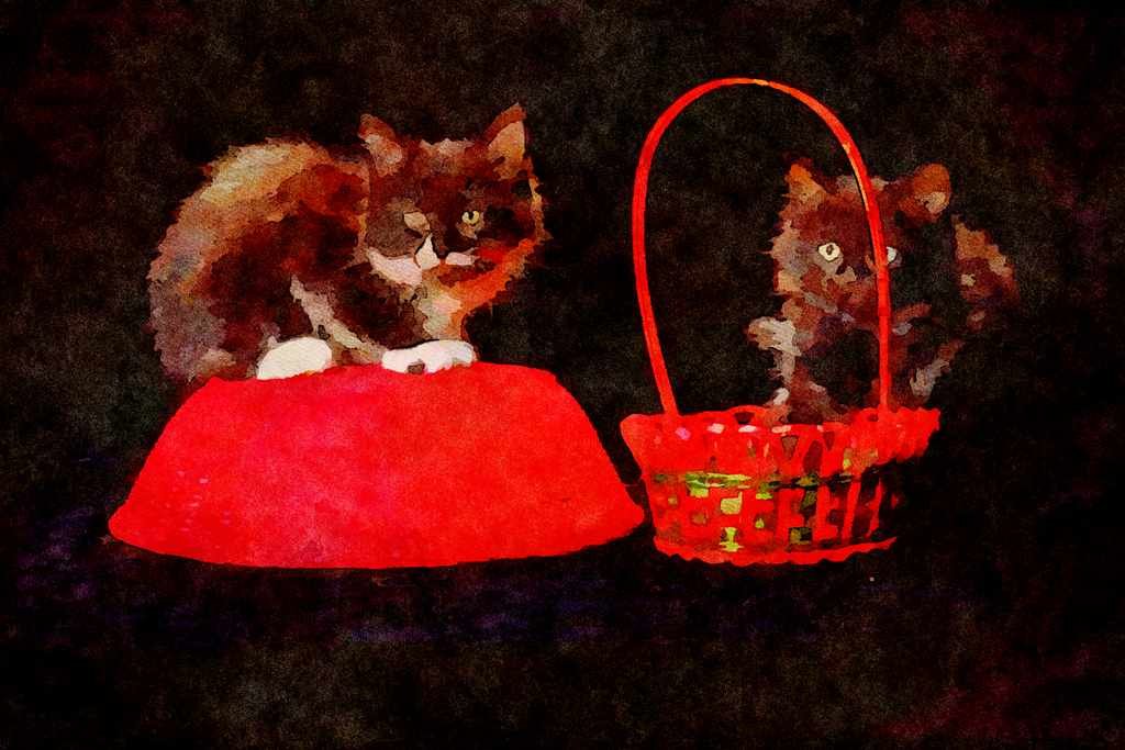 Cats Kittens 336047 Basket Case 1 A4 Limited Edition Watercolour Print