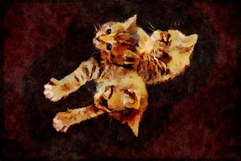 Cats Kittens 336049 Cats Galore A4 Limited Edition Watercolour Print