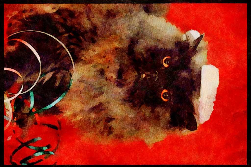 Cats Kittens 336054 Santa Claws A4 Limited Edition Watercolour Print