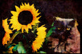Cats Kittens 336056 Van Who_ A4 Limited Edition Watercolour Print