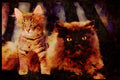 Cats Kittens 336057 Ming And Schmoo A4 Limited Edition Watercolour Print