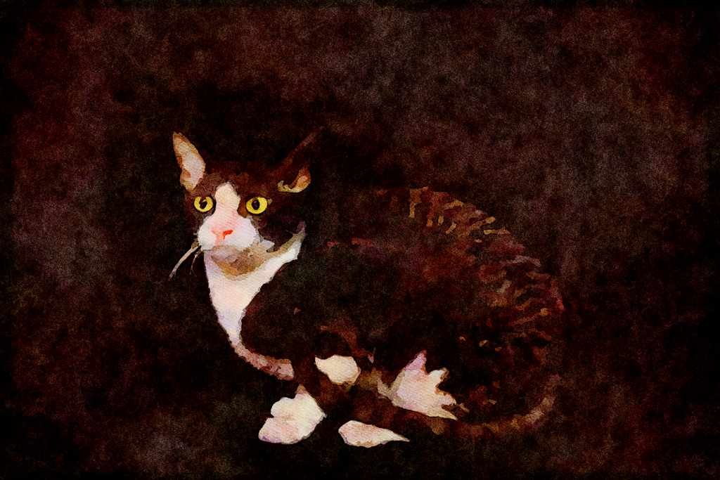 Cats Kittens 336059 What's That_ A4 Limited Edition Watercolour Print