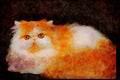 Cats Kittens 336062 Smudge A4 Limited Edition Watercolour Print