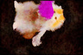 Cats Kittens 336063 Quit Ticklin' A4 Limited Edition Watercolour Print