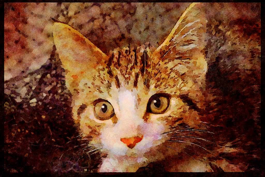 Cats Kittens 336065 Dreamer A4 Limited Edition Watercolour Print