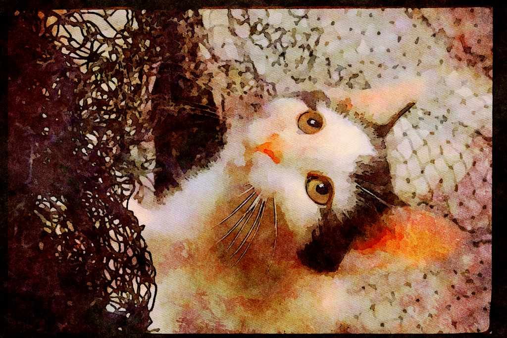 Cats Kittens 336066 Frou Frou 1 A4 Limited Edition Watercolour Print