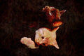 Cats Kittens 336071 Pals A4 Limited Edition Watercolour Print