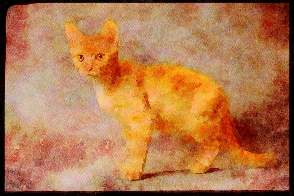 Cats Kittens 336073 Feisty A4 Limited Edition Watercolour Print