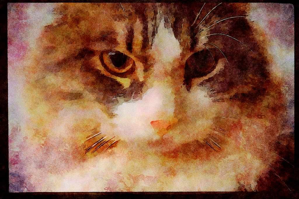 Cats Kittens 336075 Jewel 2 A4 Limited Edition Watercolour Print