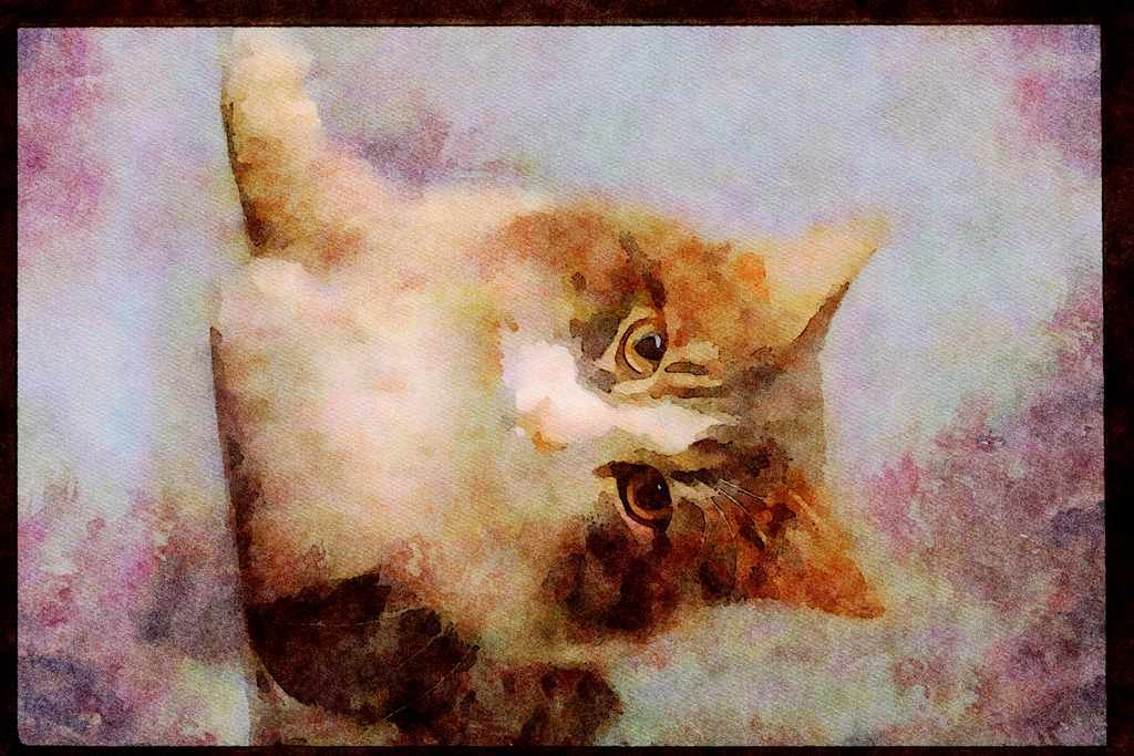 Cats Kittens 336076 Jewel 3 A4 Limited Edition Watercolour Print