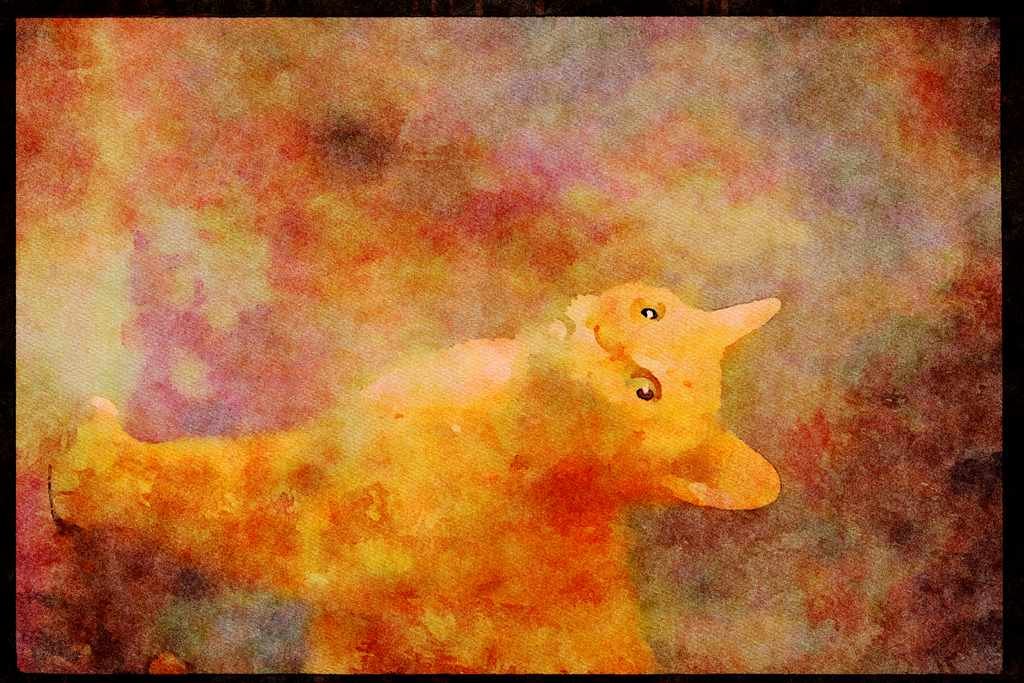 Cats Kittens 336077 Sniffy A4 Limited Edition Watercolour Print
