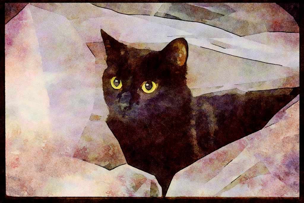 Cats Kittens 336078 Blackie On White A4 Limited Edition Watercolour Print