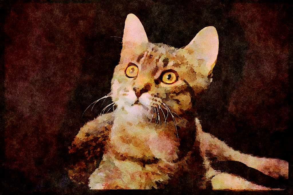 Cats Kittens 336080 Her Master's Voice A4 Limited Edition Watercolour Print