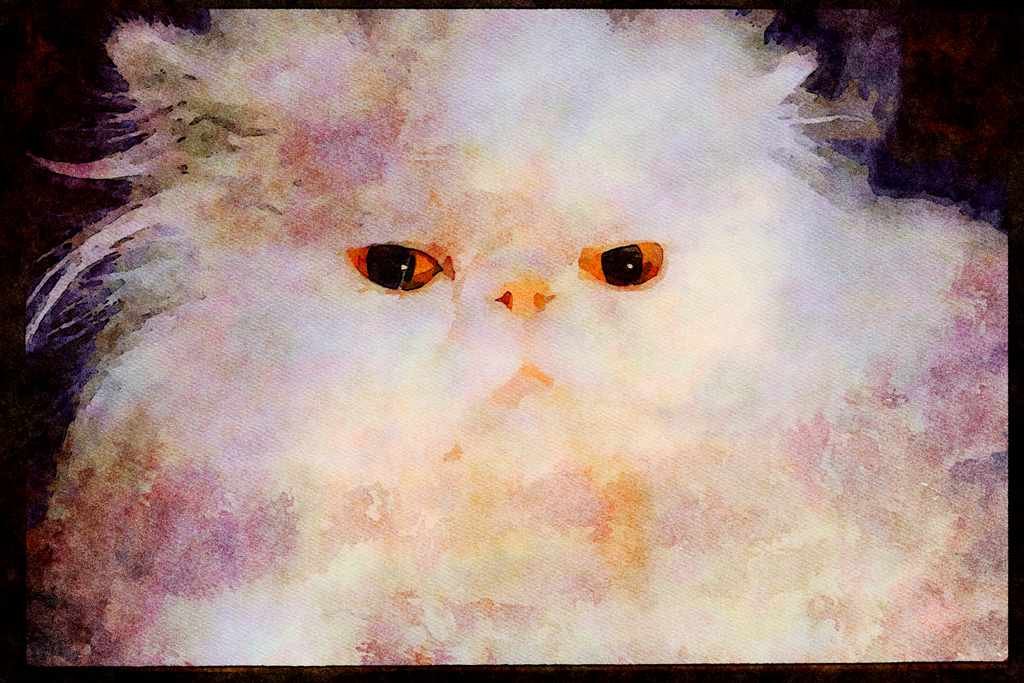 Cats Kittens 336083 Spoiled Rotten A4 Limited Edition Watercolour Print
