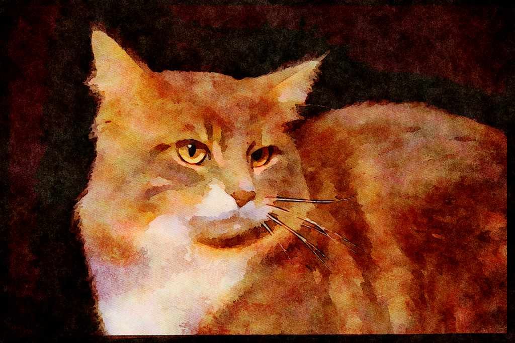 Cats Kittens 336086 Mimi A4 Limited Edition Watercolour Print