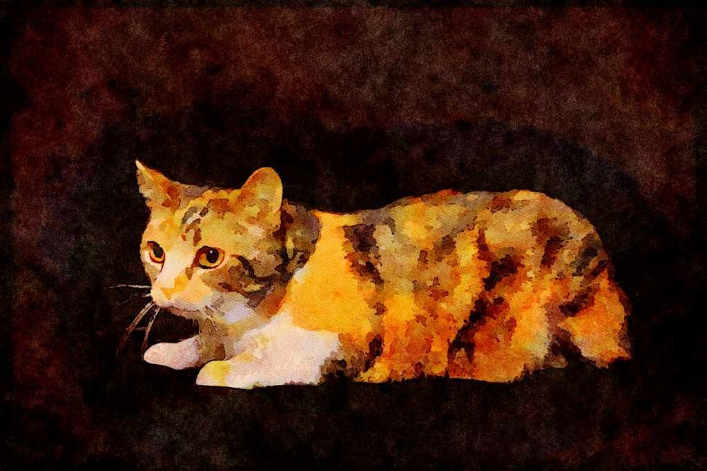 Cats Kittens 336088 Tabby A4 Limited Edition Watercolour Print