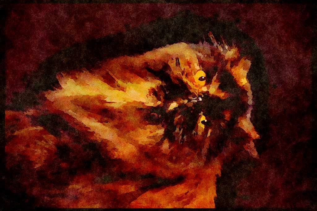 Cats Kittens 336089 Whiskers A4 Limited Edition Watercolour Print