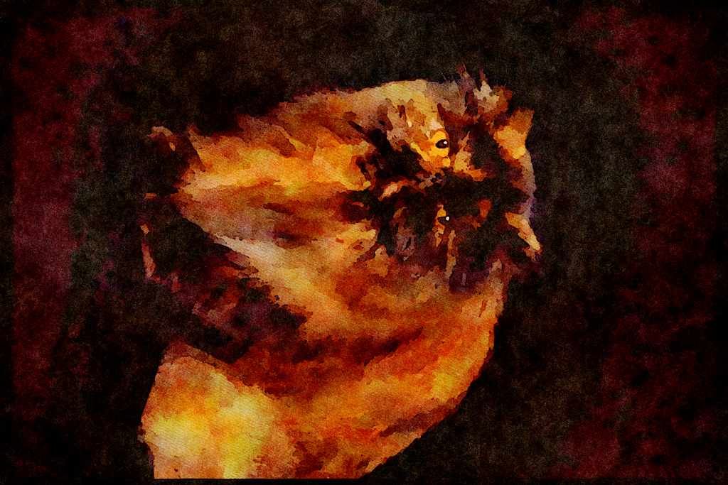 Cats Kittens 336090 Calico A4 Limited Edition Watercolour Print