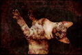Cats Kittens 336093 Salem A4 Limited Edition Watercolour Print