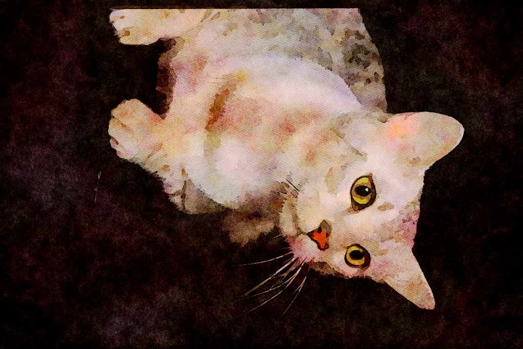 Cats Kittens 336094 Mau Mau Mau A4 Limited Edition Watercolour Print