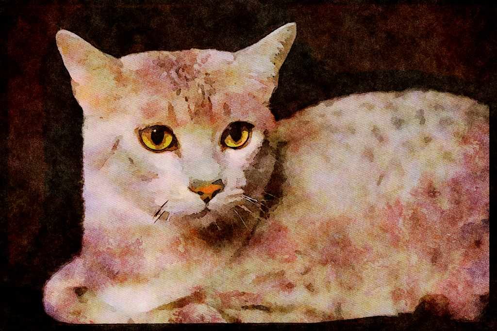 Cats Kittens 336095 Goddess A4 Limited Edition Watercolour Print