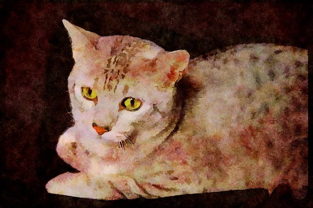 Cats Kittens 336096 Temple Guardian A4 Limited Edition Watercolour Print