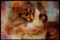 Cats Kittens 336098 Cuddles A4 Limited Edition Watercolour Print