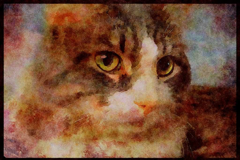 Cats Kittens 336098 Cuddles A4 Limited Edition Watercolour Print