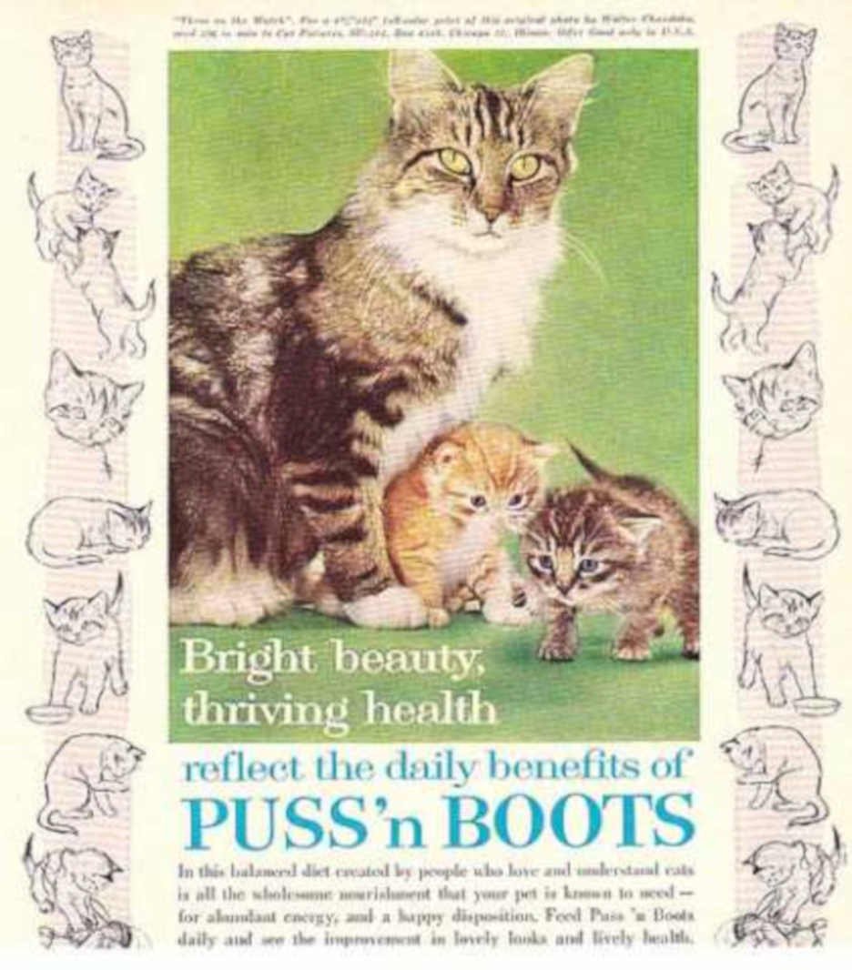 Cats Puss Boots 2 Vintage Retro Advert Ads A4 Photo Print