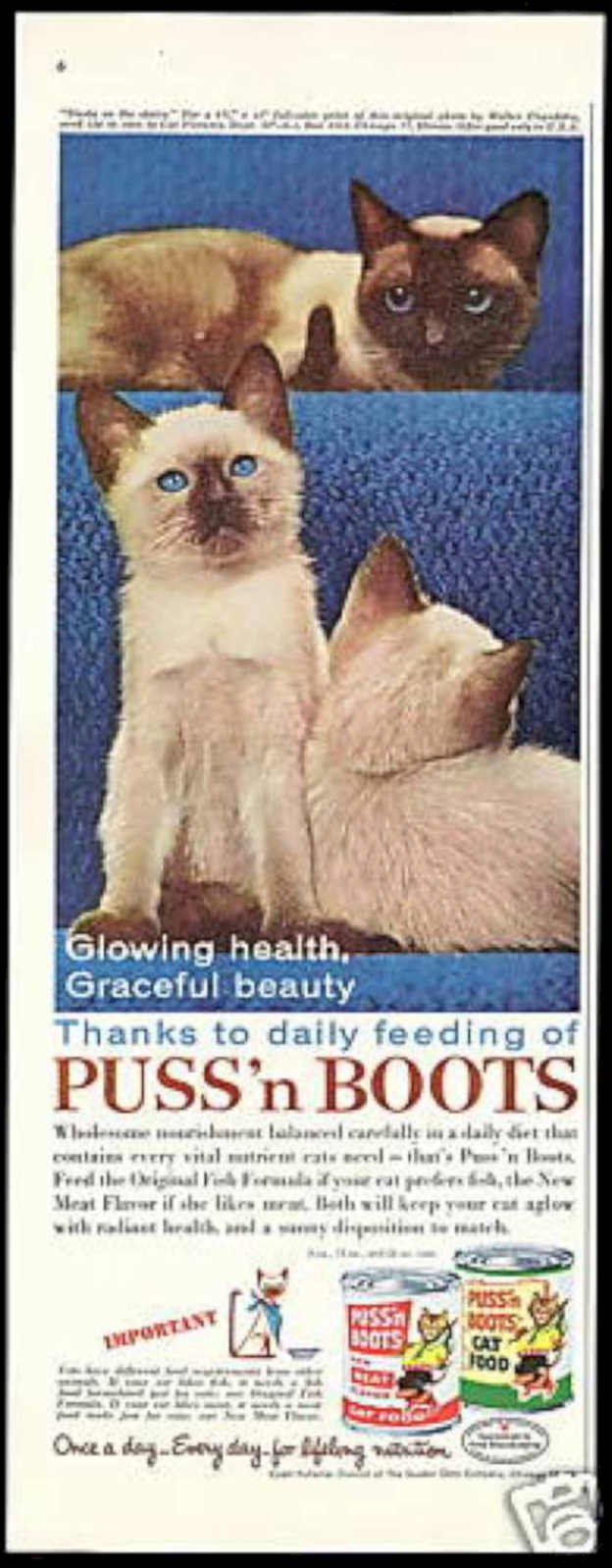 Cats Puss Boots Vintage Retro Advert Ads A4 Photo Print