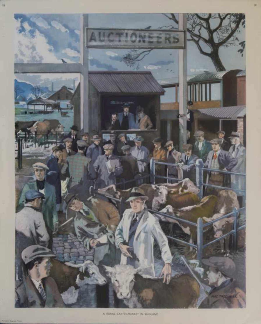 Cattle Auction Men Vintage Retro Advert Ads A4 Photo Print