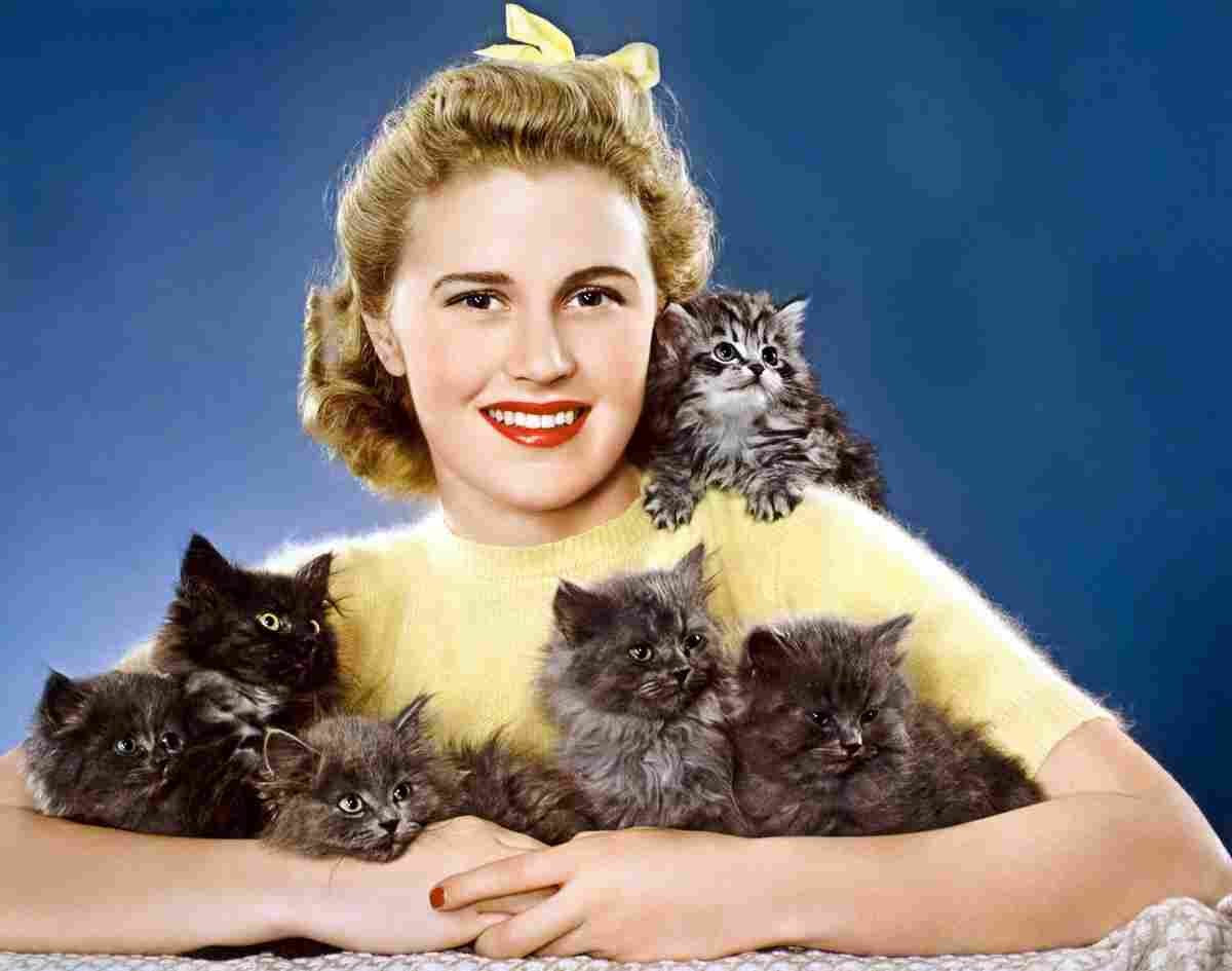 Caulfield Joan 2 film star poster A4 Photo Print