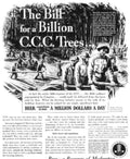 Ccc Trees Sample Vintage Retro Advert Poster A4 Photo Print