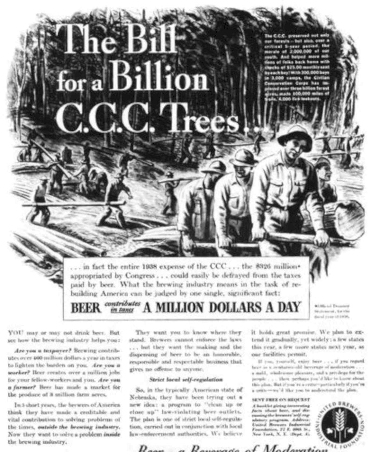 Ccc Trees Sample Vintage Retro Advert Poster A4 Photo Print