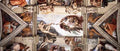 Ceiling Of The Sistine Chapel Detail1 Eur A4 Photo Print