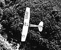 Cessna O1 Birddog 15 (2) Military A4 Photo Print