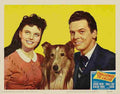 Challenge to Lassie 04  film star poster A4 Photo Print