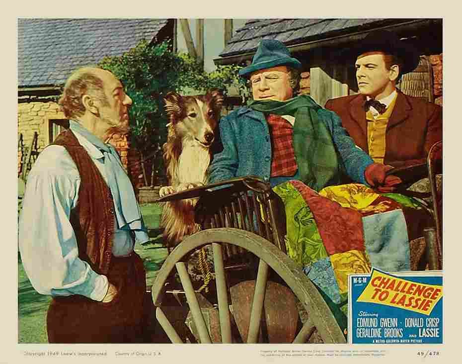 Challenge to Lassie 07  film star poster A4 Photo Print