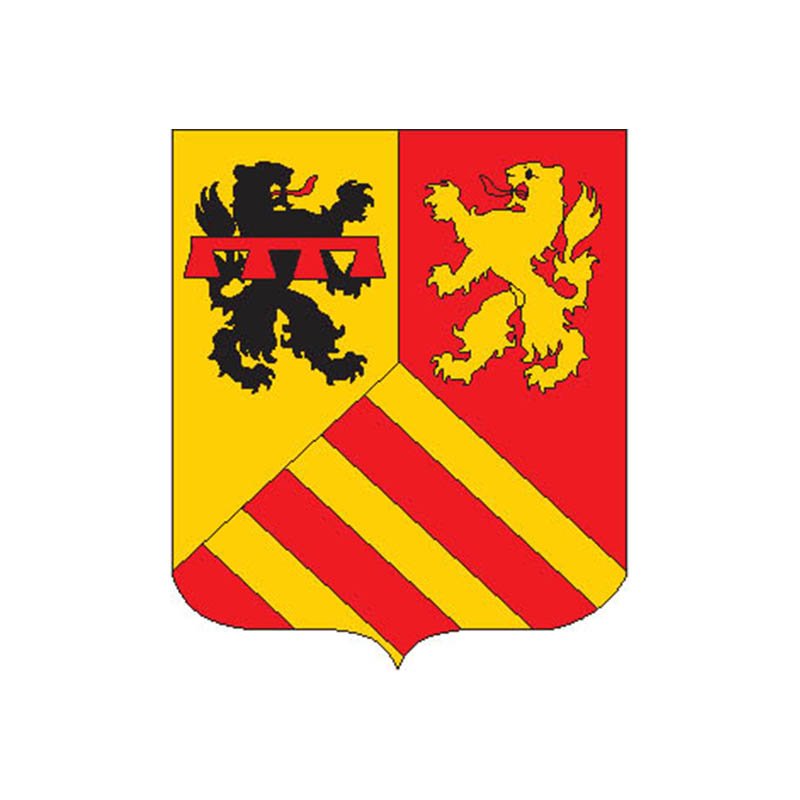 Chaneins City Coat Of Arms N5014 A4 Photo Print