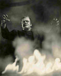 Chaney Jr Lon Ghost of Frankenstein The z1S film star poster A4 Photo Print