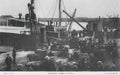 Channel Islands Jersey Shipping Jersey Cattle Vintage A4 Photo Print