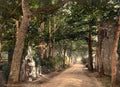Channel Isles Jersey Vinchelez Lane Vintage A4 Photo Print