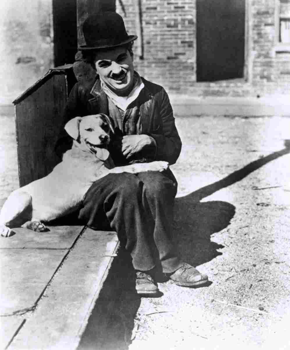 Chaplin Charlie A Dogs Life 1 film star poster A4 Photo Print