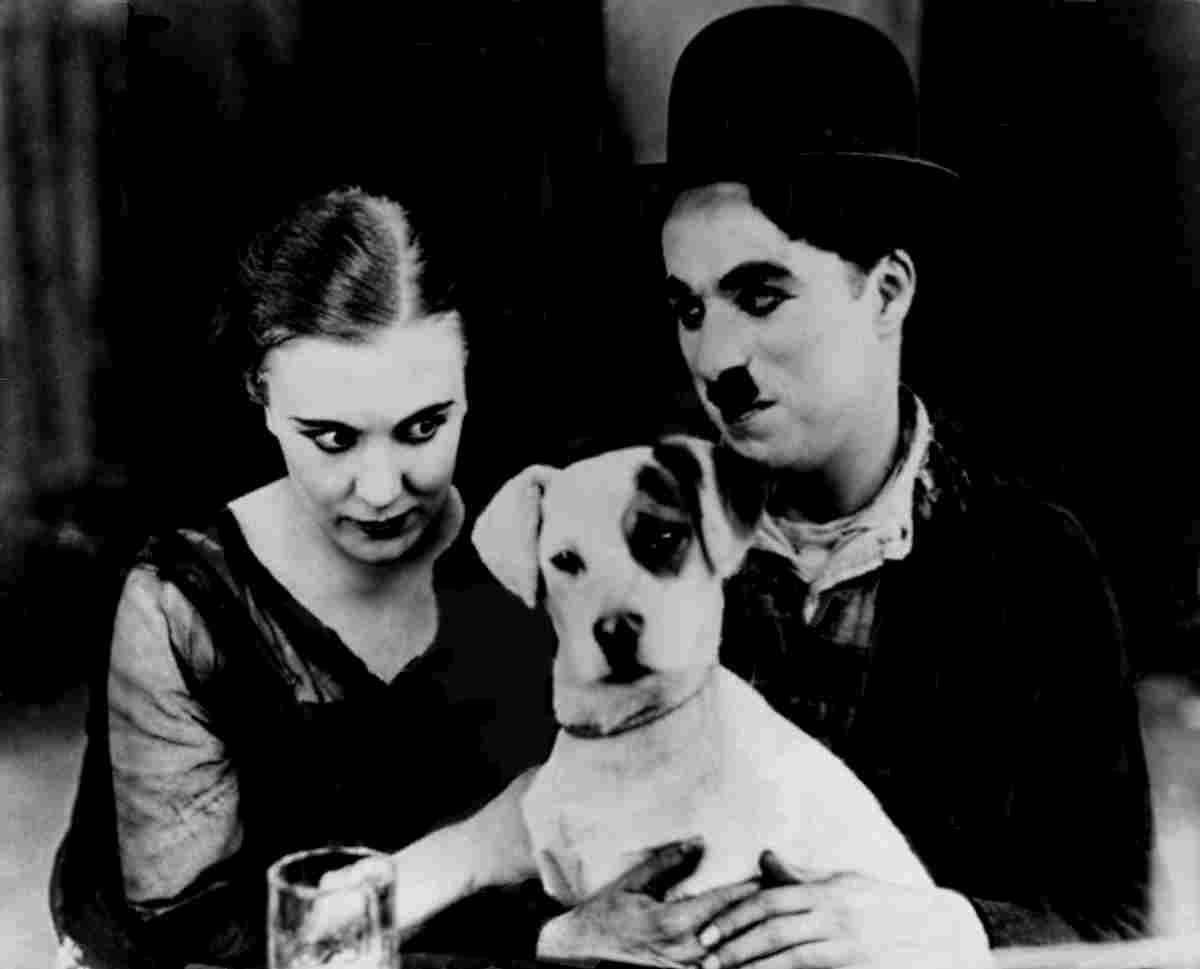 Chaplin Charlie A Dogs Life z4 film star poster A4 Photo Print